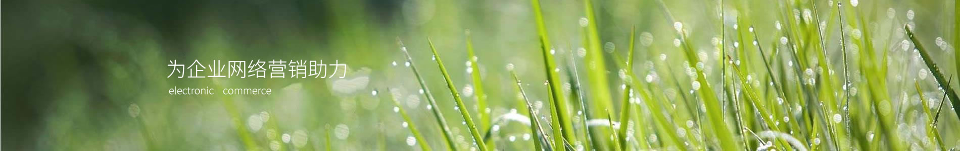 ħװ޹˾